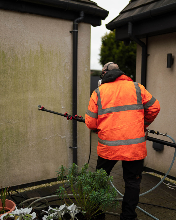 Heavily algae-stained render being treated with soft wash biocide — the safe alternative to pressure washing